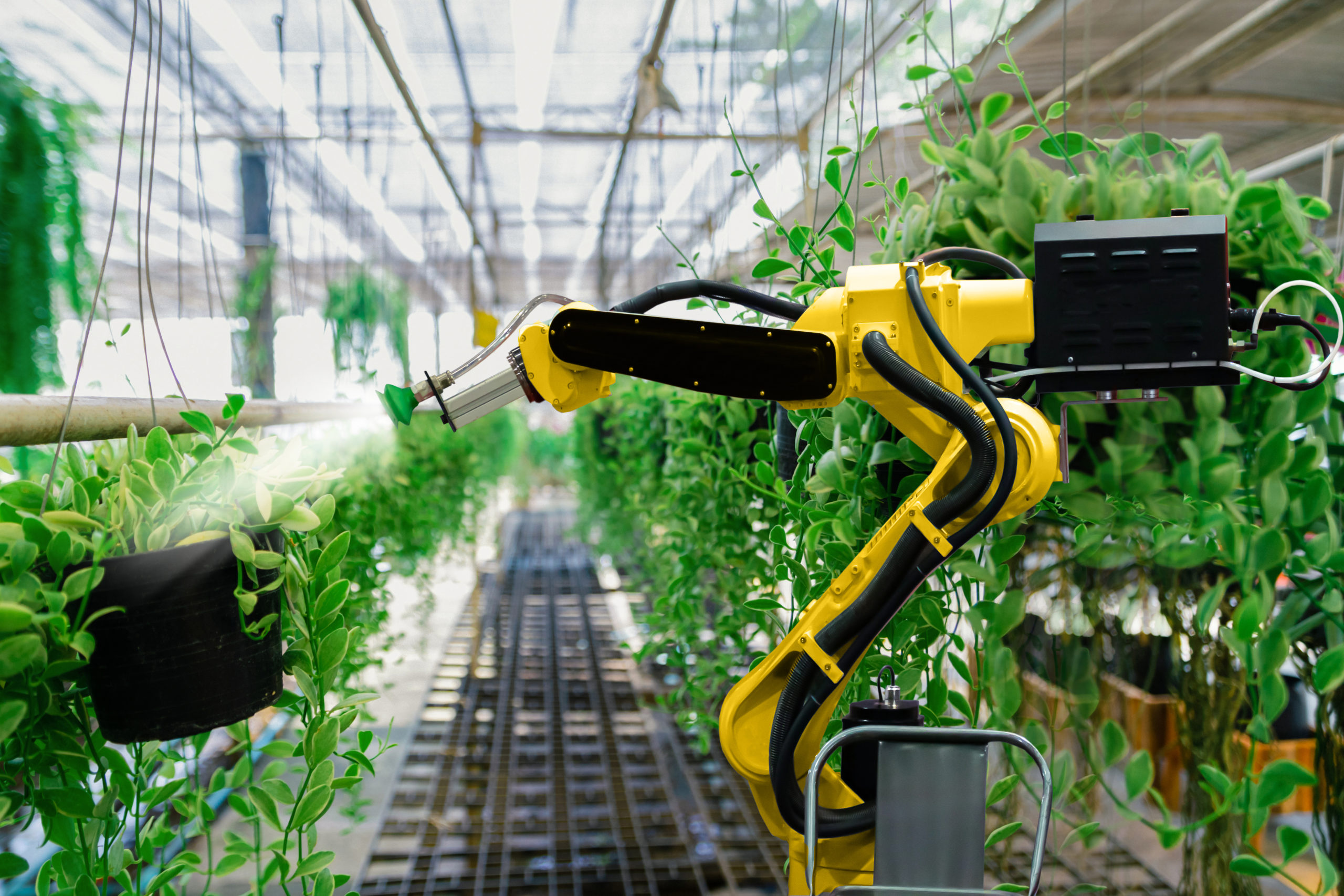 6 Use Cases of Factory Automation in Vertical Farming - Eagle